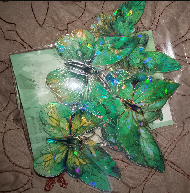 Image #1 from Tariq Hussain